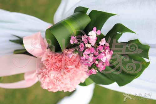 甜爱缘礼仪策划上传的图片